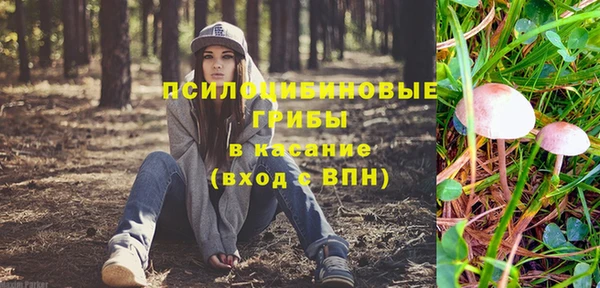 хмурый Коряжма