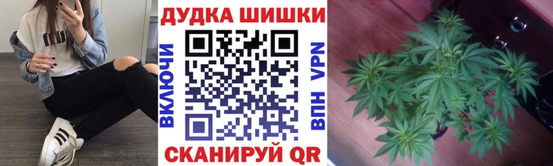 Шишки марихуана OG Kush Черепаново